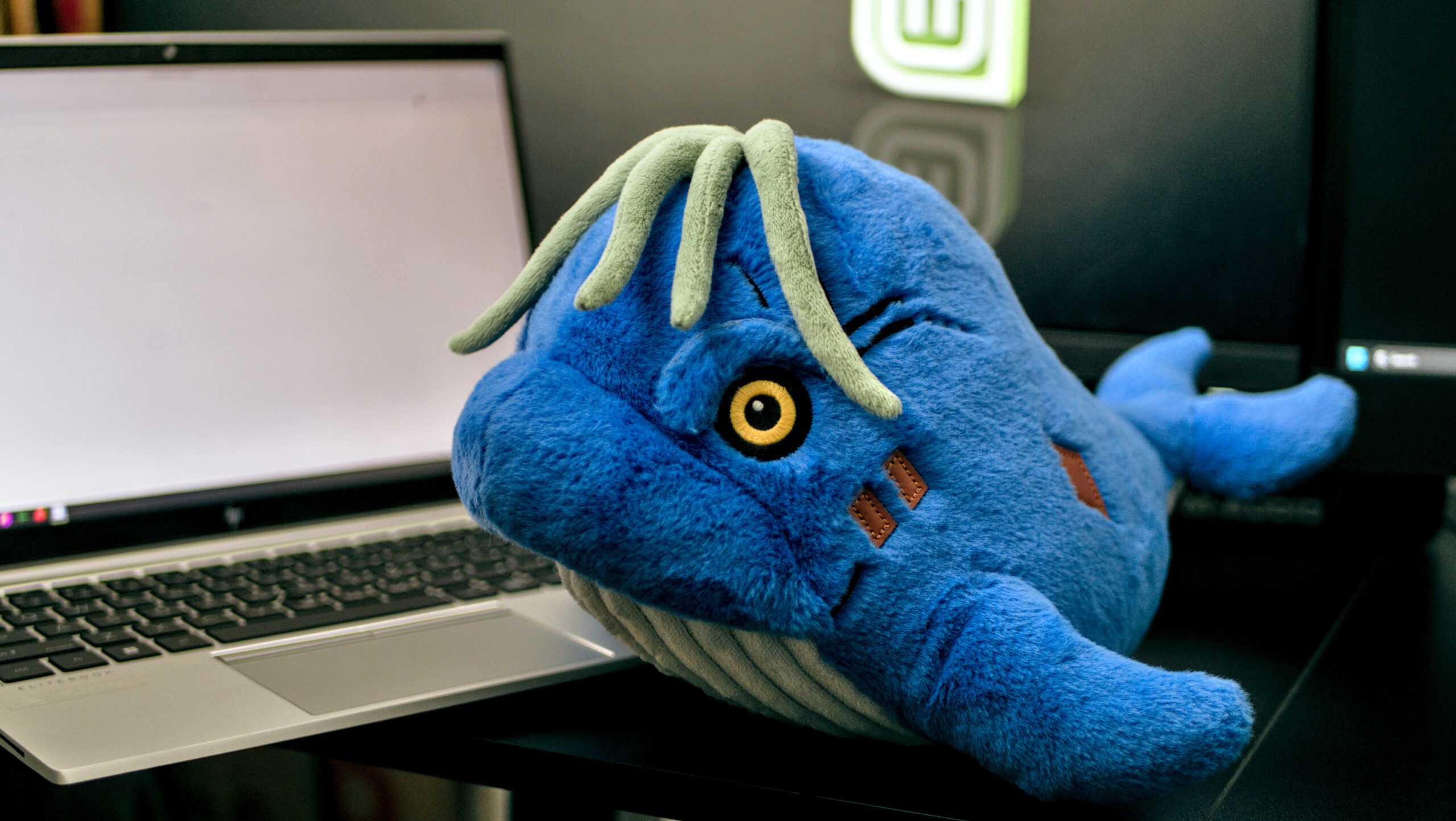 Marlow by Tinicub sitting on a modern desk next to a computer monitor. A premium 33cm designer plush collectible for adult workspaces.